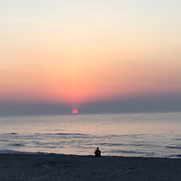 Meet your Posher, Madeleine - Picture 1 of 1